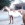 paint horse vendu